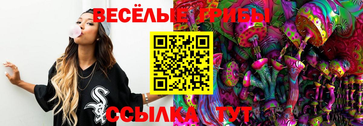 закладка  Вход с VPN  Тихвин  Галлюциногенные грибы GOLDEN TEACHER 