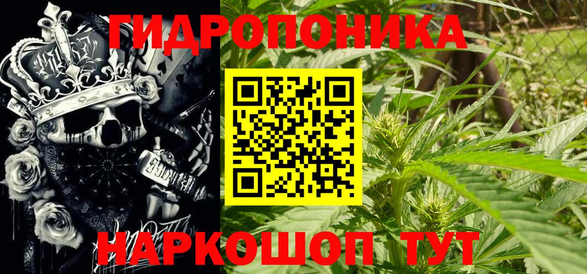 Каннабис марихуана Тихвин